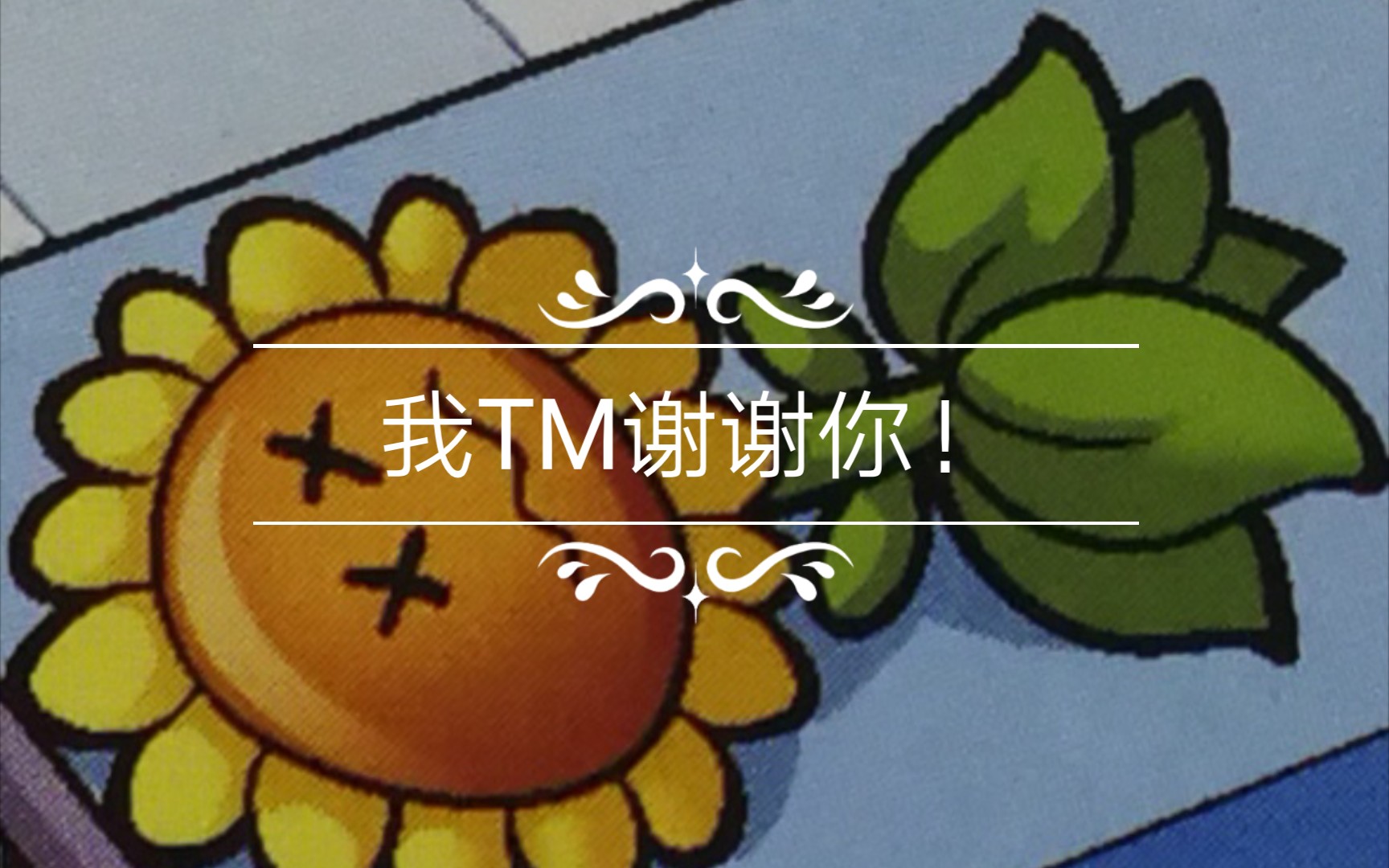 我tm谢谢你